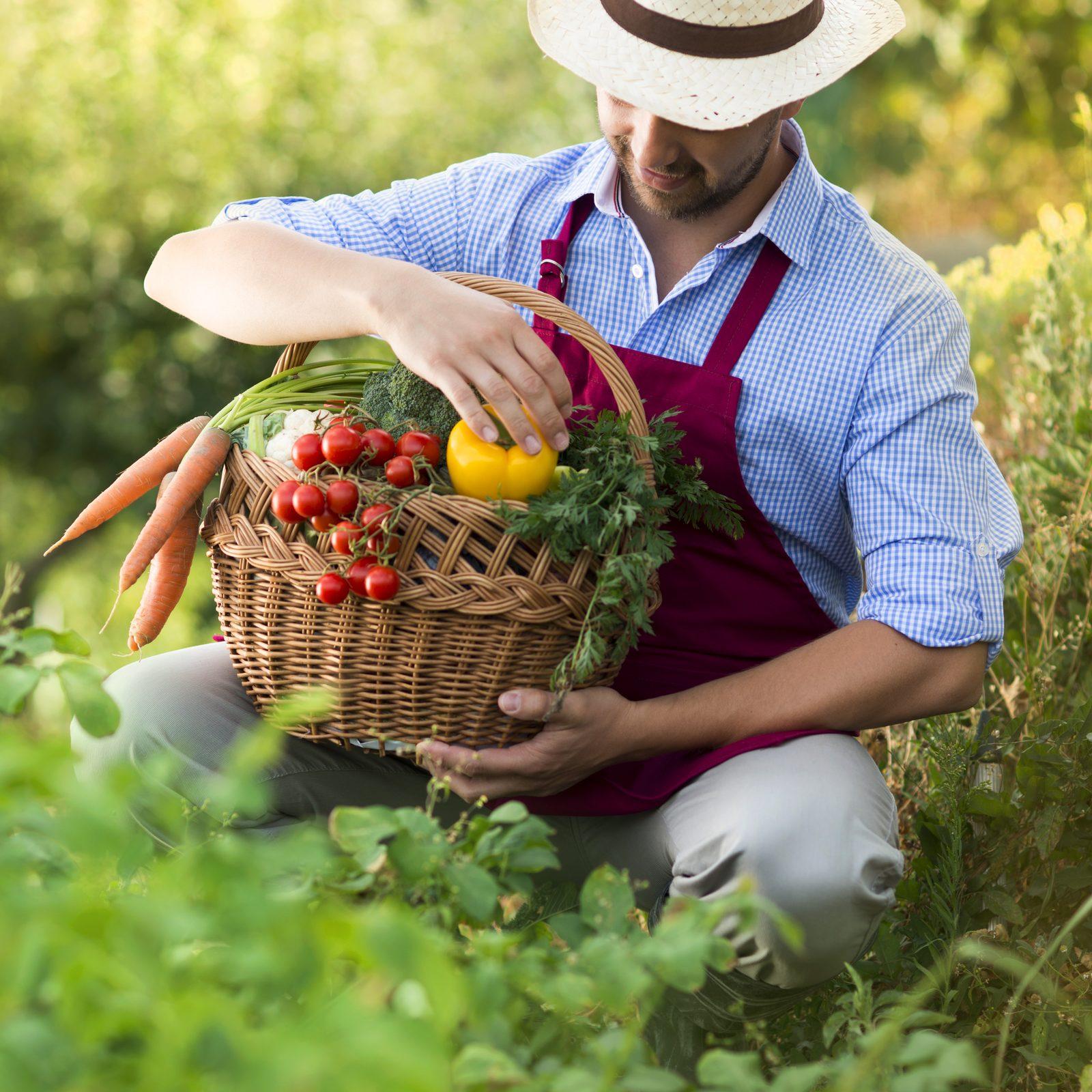 Fort Wayne Gardeners Master Clay Soil With Local Growing Strategies